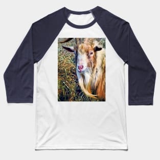 Goats - Billy Goat Closeup Baseball T-Shirt